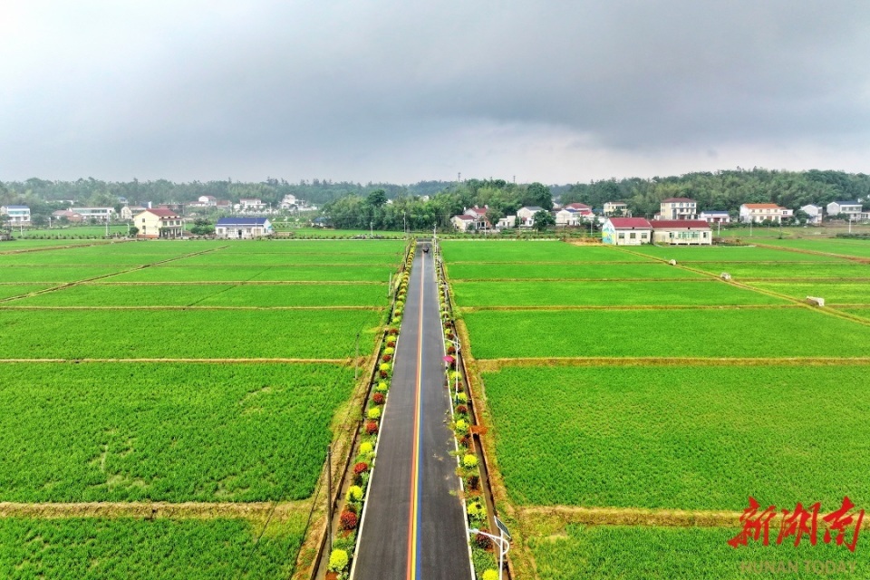 衡龙桥镇:蔬果飘香产业旺 村靓景美文旅兴
