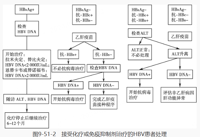 5级病毒四级图片