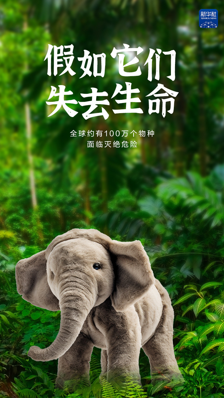 创意海报|假如它们失去生命