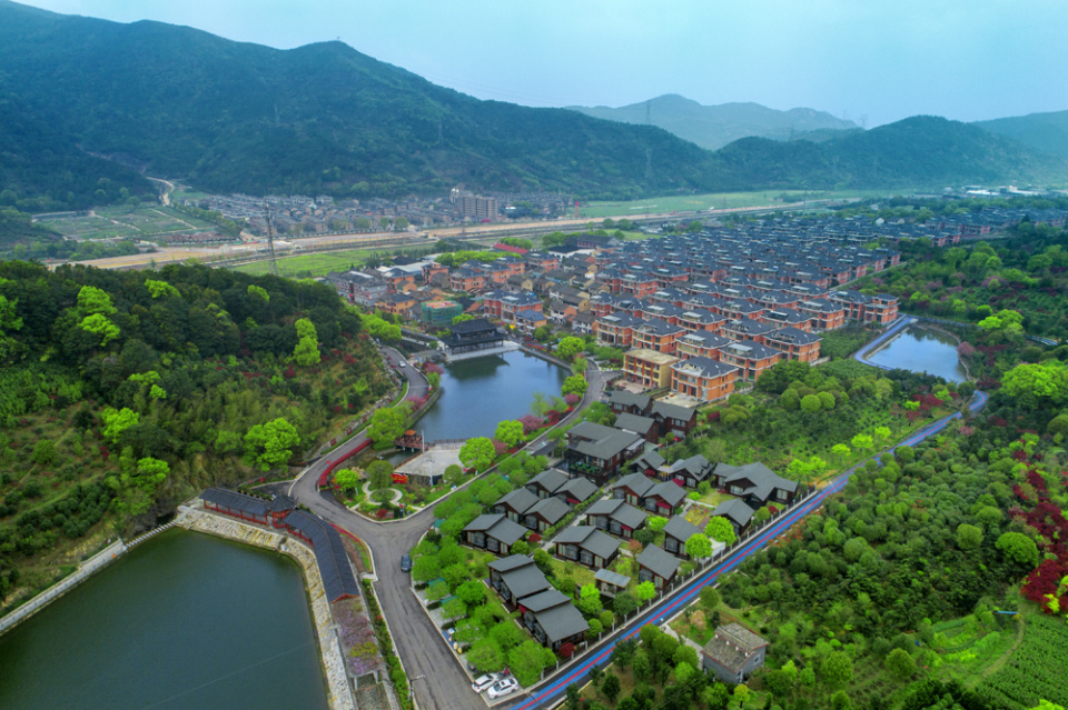 点燃乡村振兴新火种奉化这个村迎来90后乡村ceo