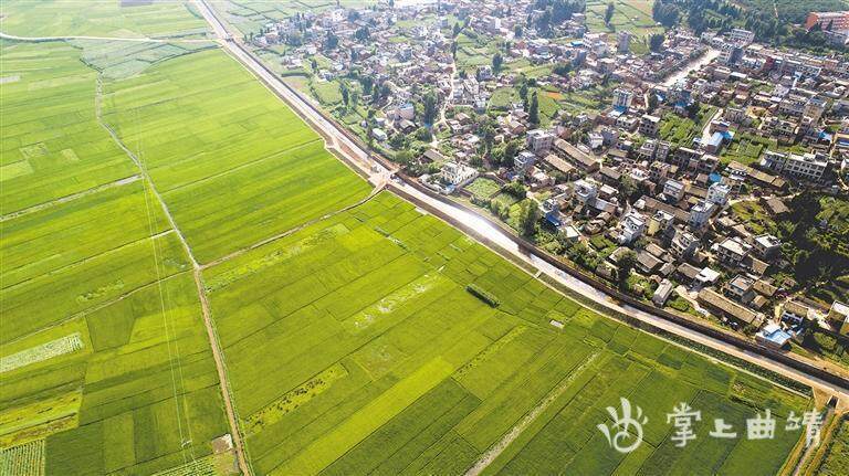 沾益区白水镇村级集体经济"加速跑"