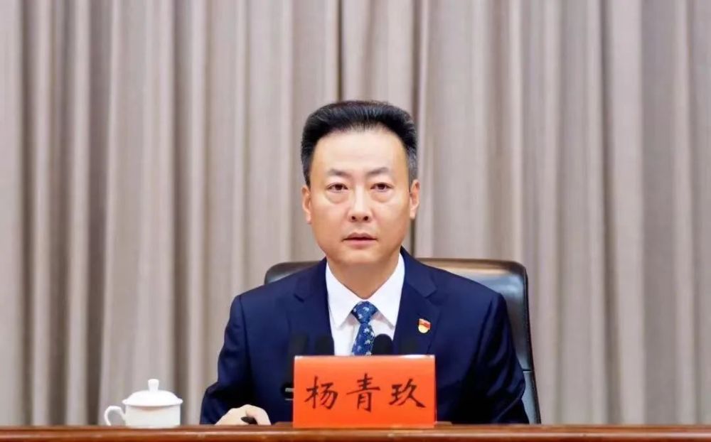 杨青玖任浙江省副省长省公安厅厅长