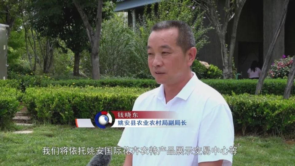 姚安：重点项目建设为花卉产业发展助力_腾讯新闻