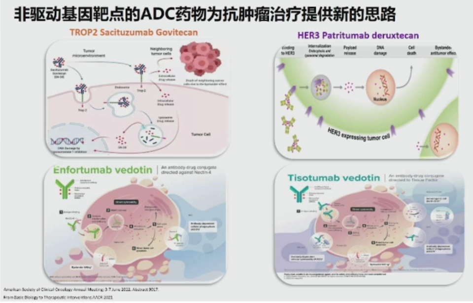 全瘤种抗 HER2 ADC 应用，你想知道的都在这里了_腾讯新闻