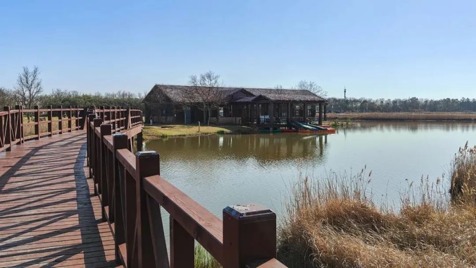 东滩湿地公园长兴岛郊野公园东平国家森林公园据相关统计,东滩湿地