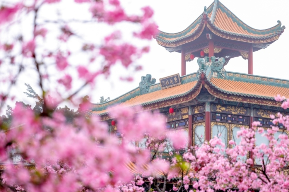 跟着"湾区大号地铁"去旅行!带你5站玩转番禺