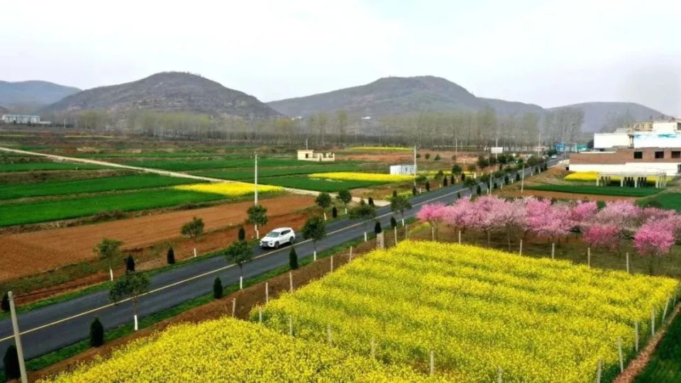 活动内容:在周末及五一期间,在"龙乡花海"主题沉浸