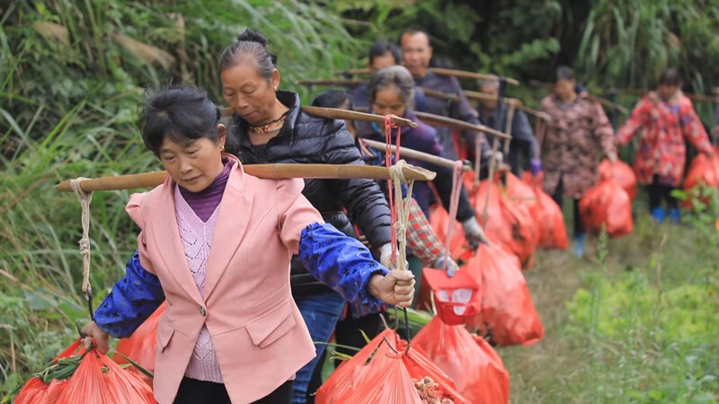 [南方生姜网-图片加载]