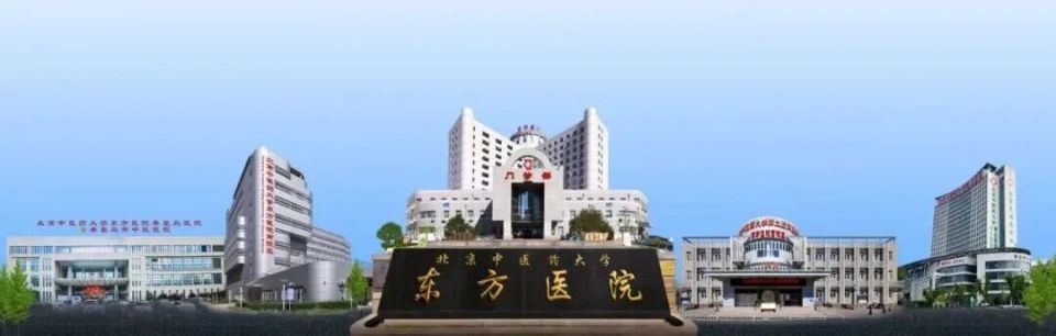 为破解我国医疗资源“双集中”导致的大型公立医院多院区运营管理难题，北京中医药大学东方医院（简称“东方医院”）探索构建“同质化管理、差异化发展”的一体化治理体系，有效实现了规模增效、区域均衡、品牌突破，推动医院从规模扩张向内涵提升转型，为公立医院探索“一院多区”高质量发展提供了有效参考。在人口老龄化和慢性病高发背景下，我国医疗资源结构性矛盾突出，呈现显著“双集中”态势：地域上，东部三甲数量是西部2.