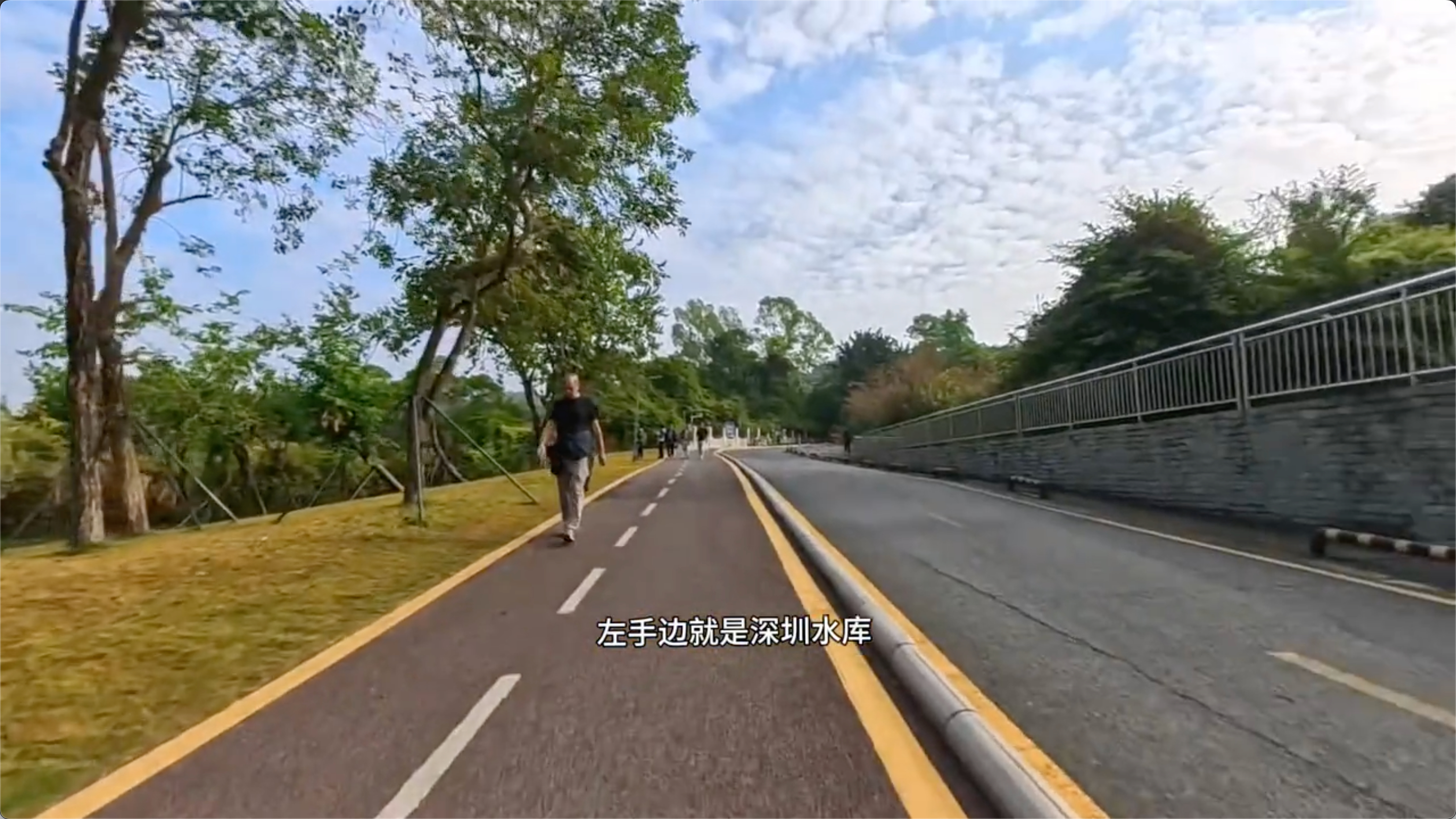 深圳水库绿道