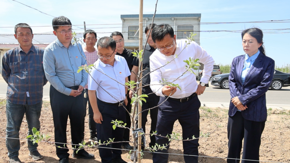 张继东调研南部片区党纪学习教育,项目建设,苹果生产等工作