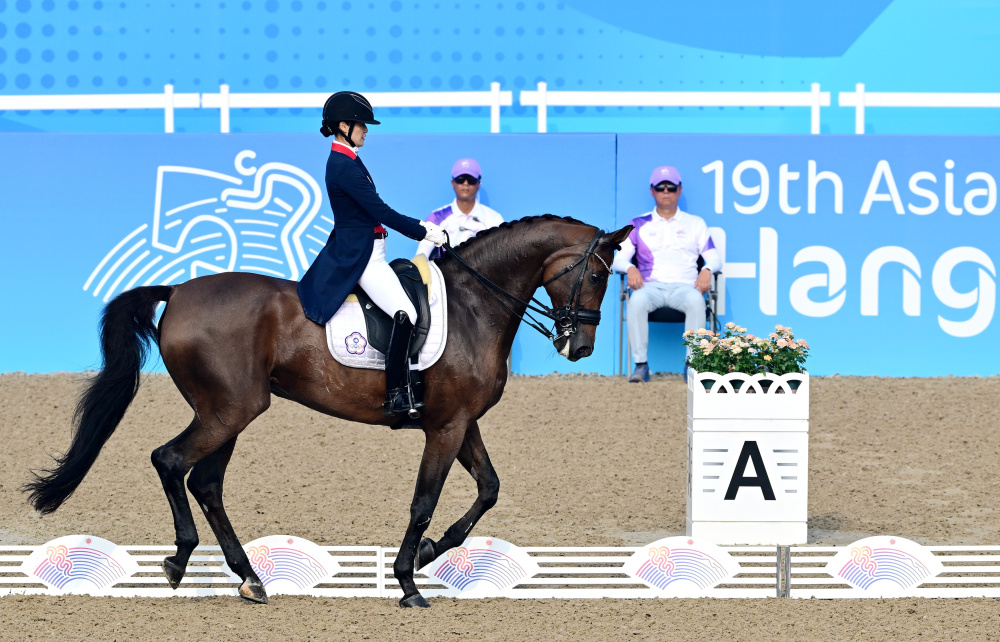 马术盛装舞步个人赛赛况