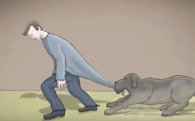 ͼƬ
