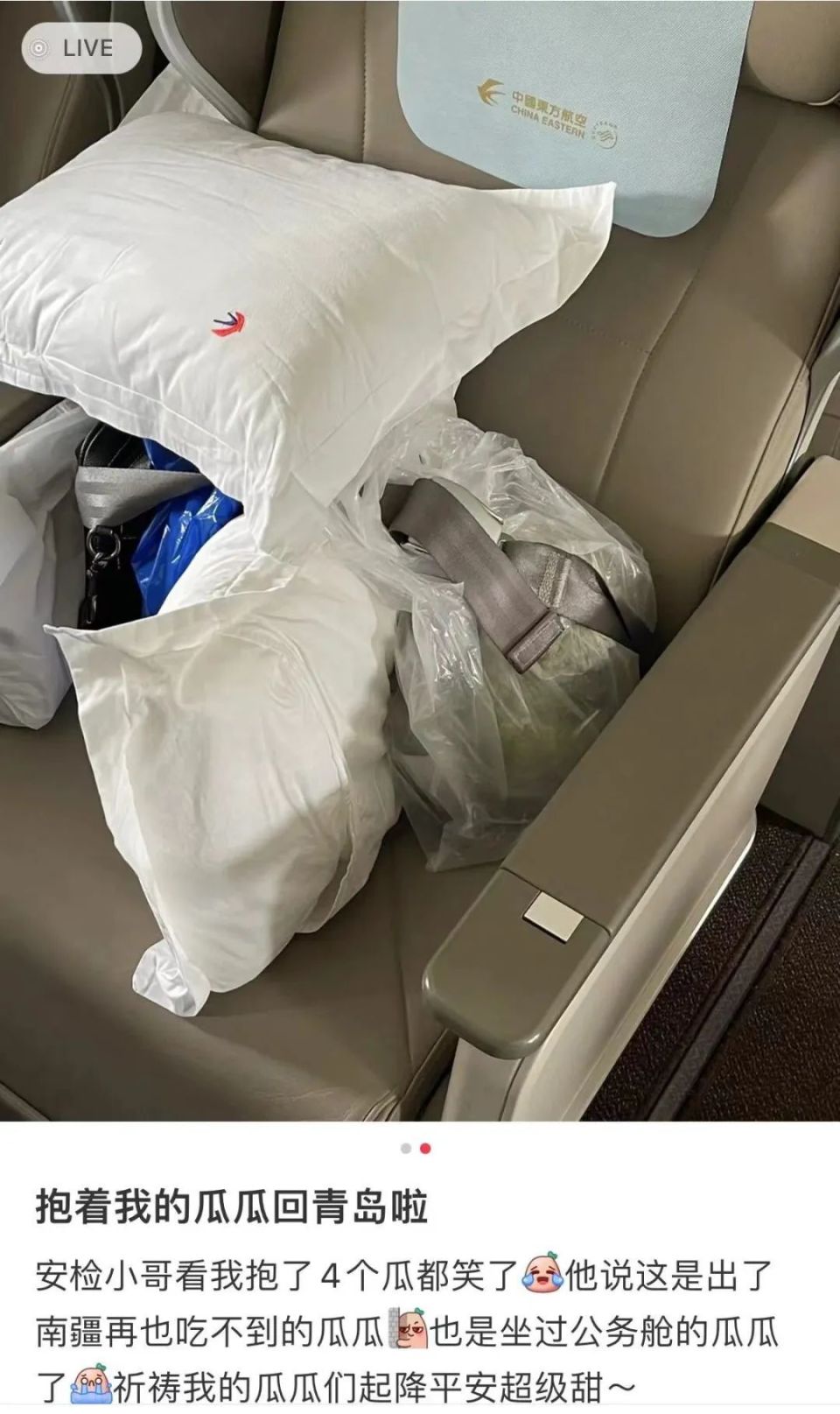 谁说"老汉瓜"走不出新疆?新品种瓜瓜要走遍全国