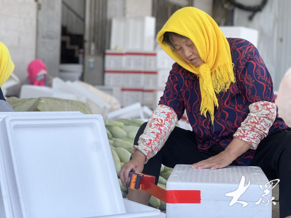 5亿元!喻屯甜瓜为何这么"甜"