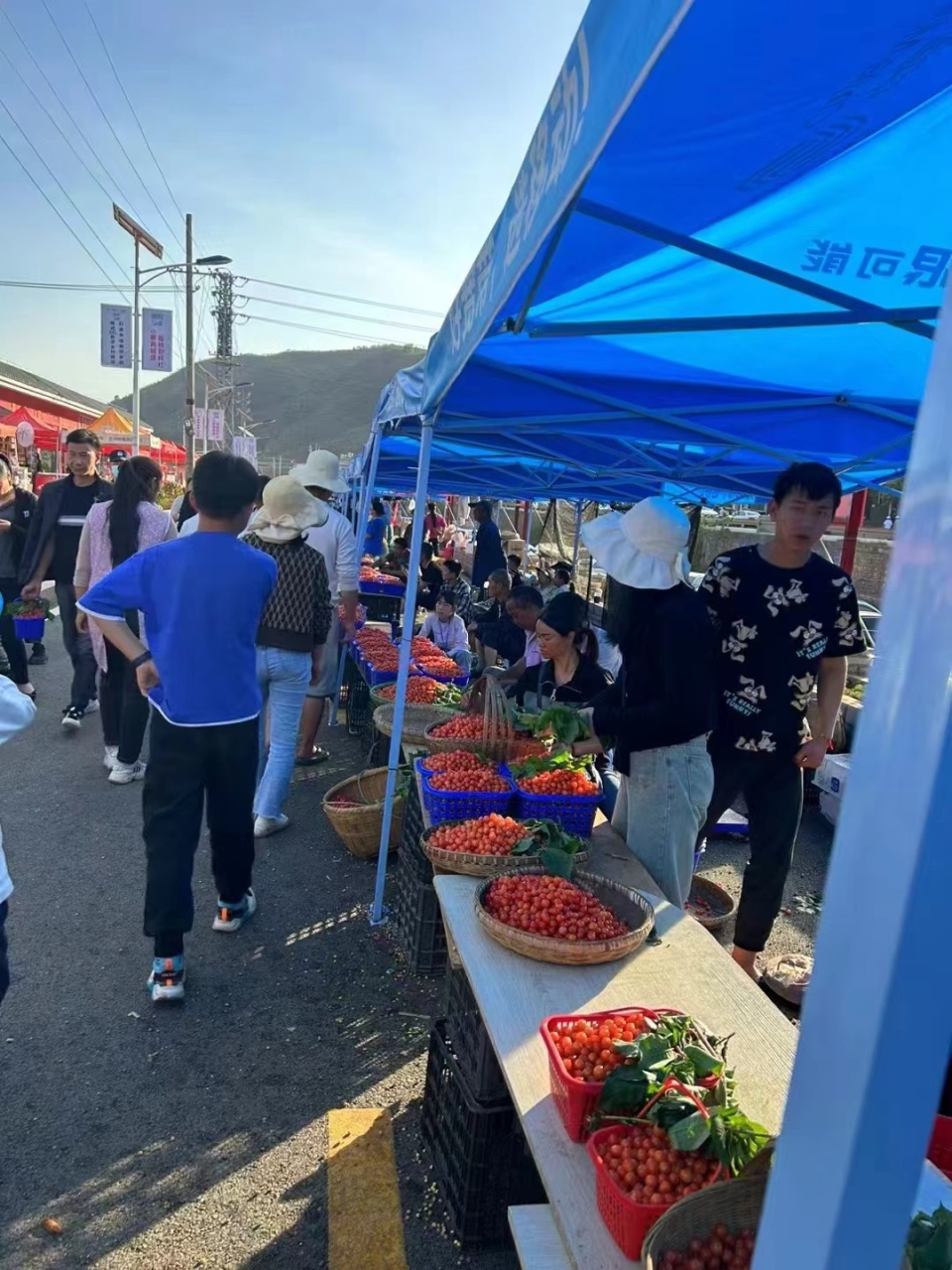 美好生活在云南昭通鲁甸樱桃文化旅游节将于4月20日启幕