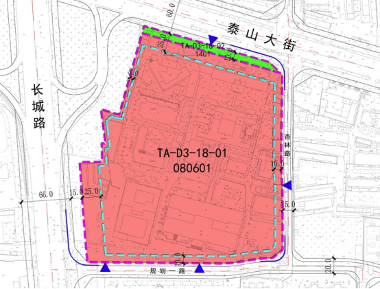 泰安徐家楼片区规划图图片