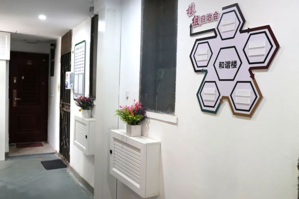 按下楼道"美颜键"!桃浦"加梯楼"居民幸福感叠加