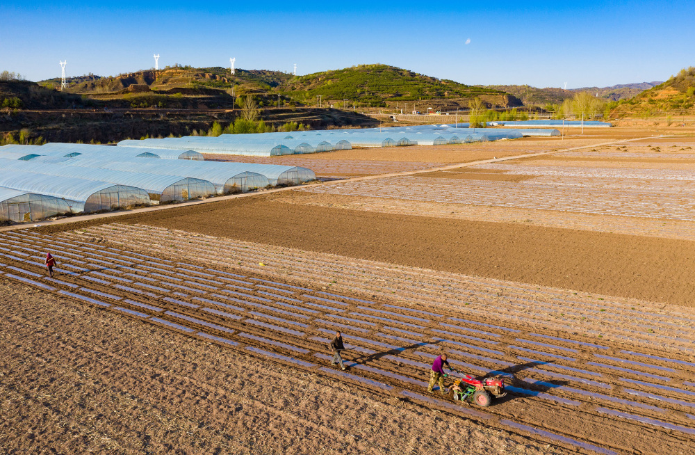 山西左权农田耕作忙孕育新希望