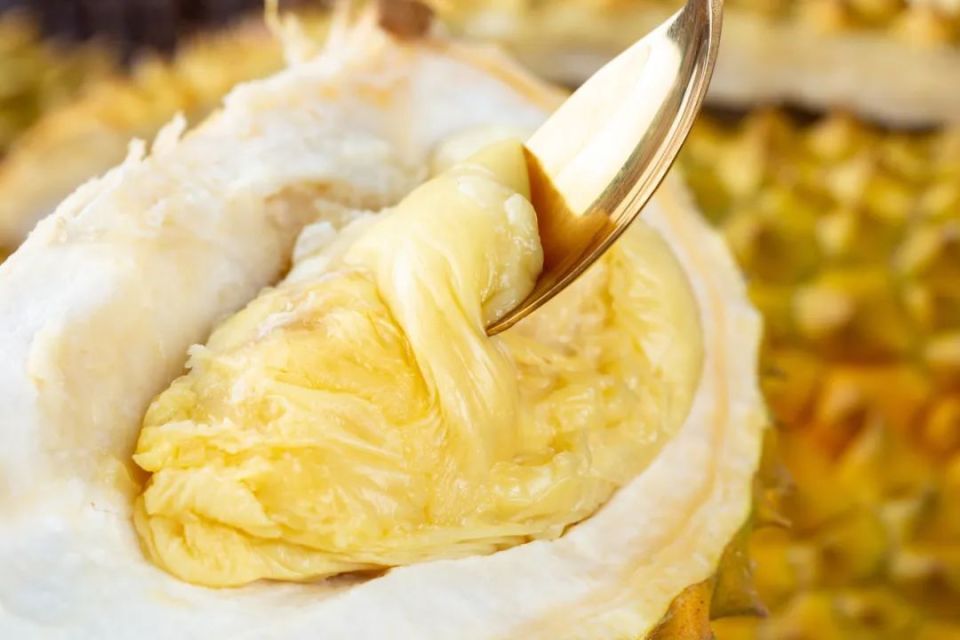 中筋面粉150g,低筋面粉100g,黄油100克,糖适量,温水半碗,榴莲肉适量