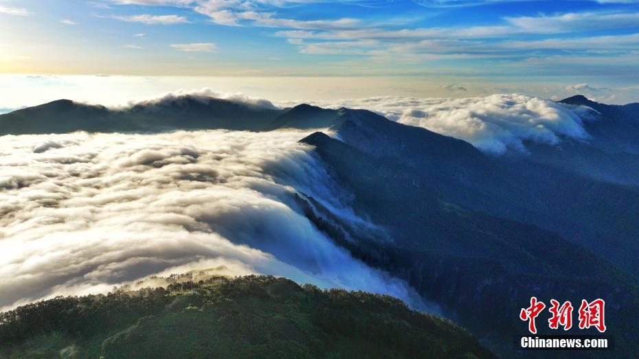 神农架现绝美云海景观 "云瀑布"壮观迷人