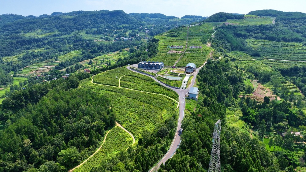 张平 符艳 川观新闻记者 袁城霖进入8月,达州普光化工园区,宣汉县正达