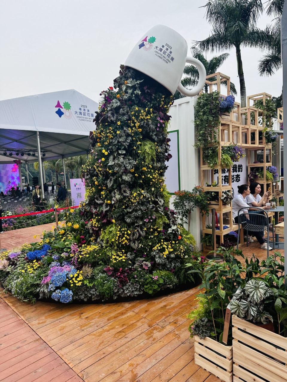 逾千种新优花卉亮相2023粤港澳大湾区花展