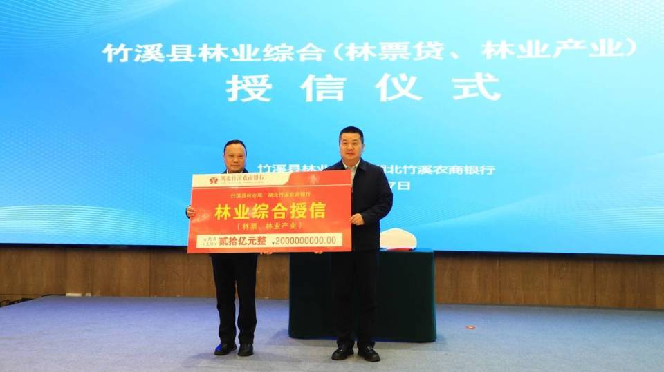 湖北首单林票变现200万元_腾讯新闻
