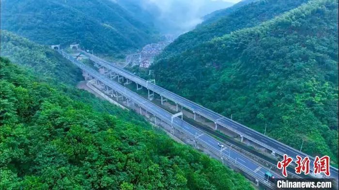 为什么宁静贴片这么贵聚焦浙里：中新社浙江新闻周报_https://www.jmylbn.com_新闻资讯_第8张