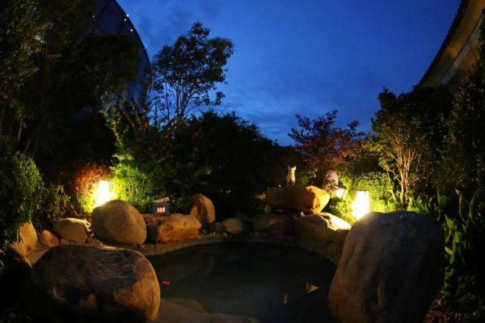 温泉夜色浓,夜泡正当时,这些地方火爆朋友圈