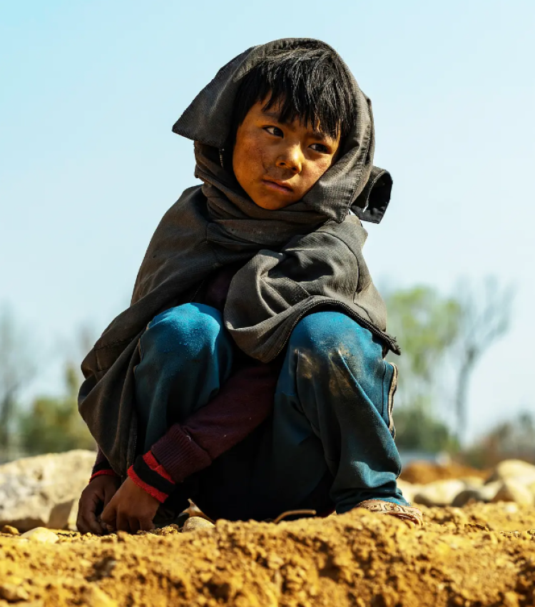 《八角笼中》:"格斗孤儿"打破命运牢笼,导演王宝强交出赤诚满意答卷