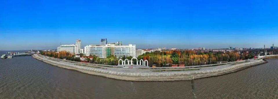 漫长的季节里,反复爱上城桥镇