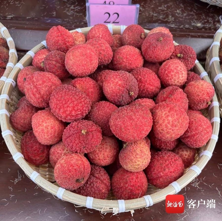 海南荔枝新品种现场观摩品鉴会举行-腾讯新闻