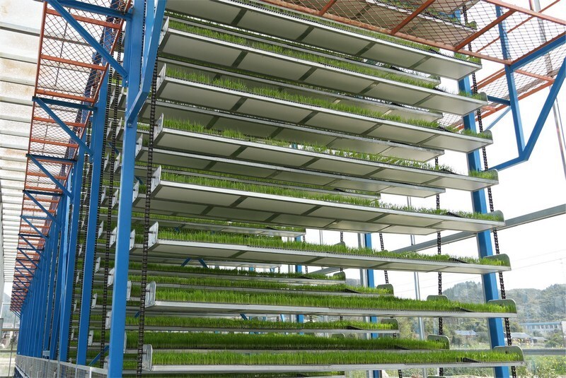 思南工厂化水稻育秧尽显农业科技范