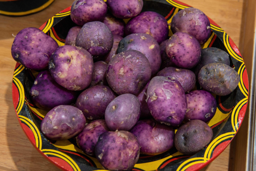 【美丽四川】走进大凉山——金阳县