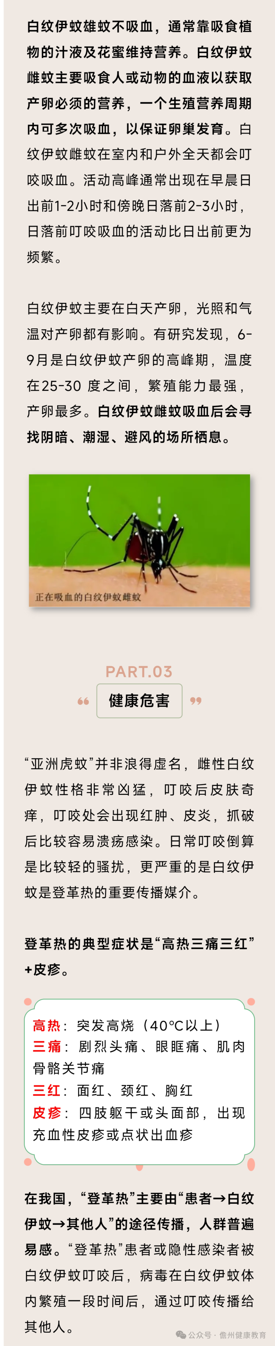 预防登革热,小心白纹伊蚊!