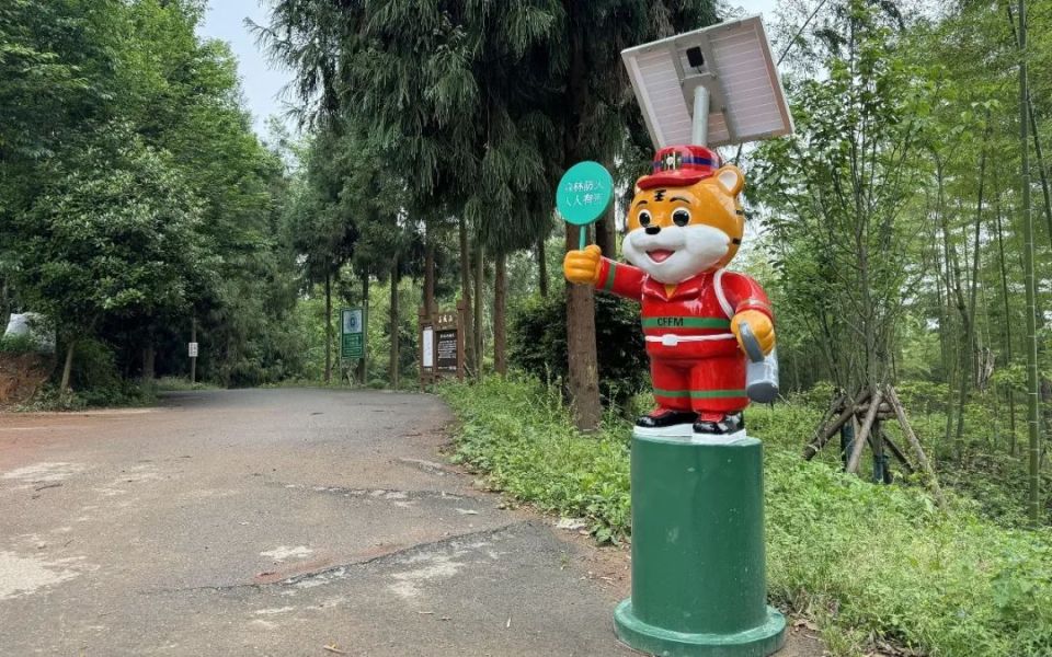 森林哨兵"威威虎",智能防火"虎威威"
