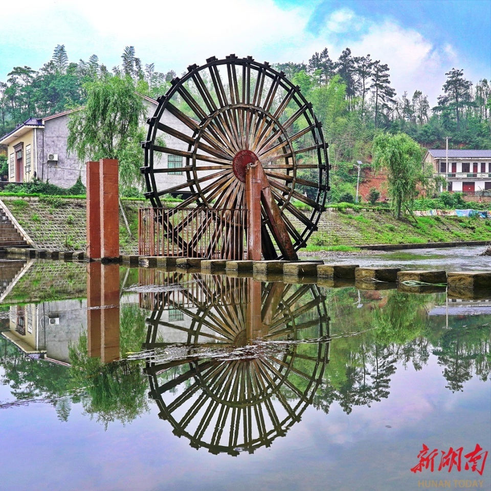 衡龙桥镇:蔬果飘香产业旺 村靓景美文旅兴