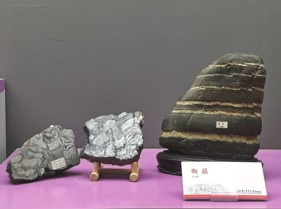 近30万件"宝藏"!快来打卡华中农大这块宝地