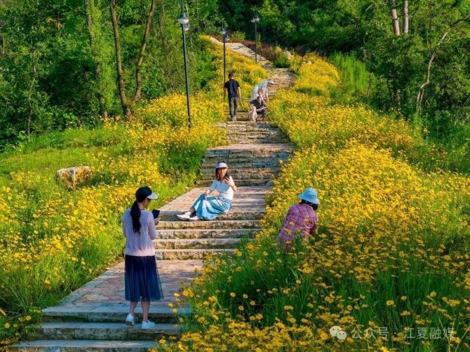 江夏这条"花路",美得正当时