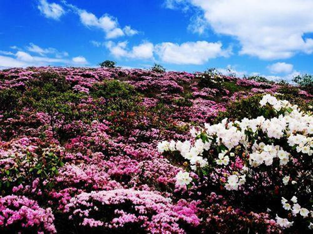 【美丽四川】走进大凉山——布拖县_腾讯新闻