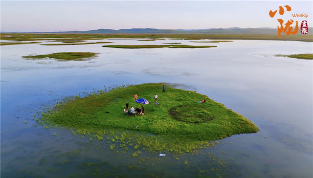 甘南玛曲:玛曲湿地美 黄河润草原