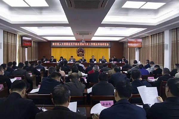 隆安县人大开展招商引资专项评议助推经济高质量发展
