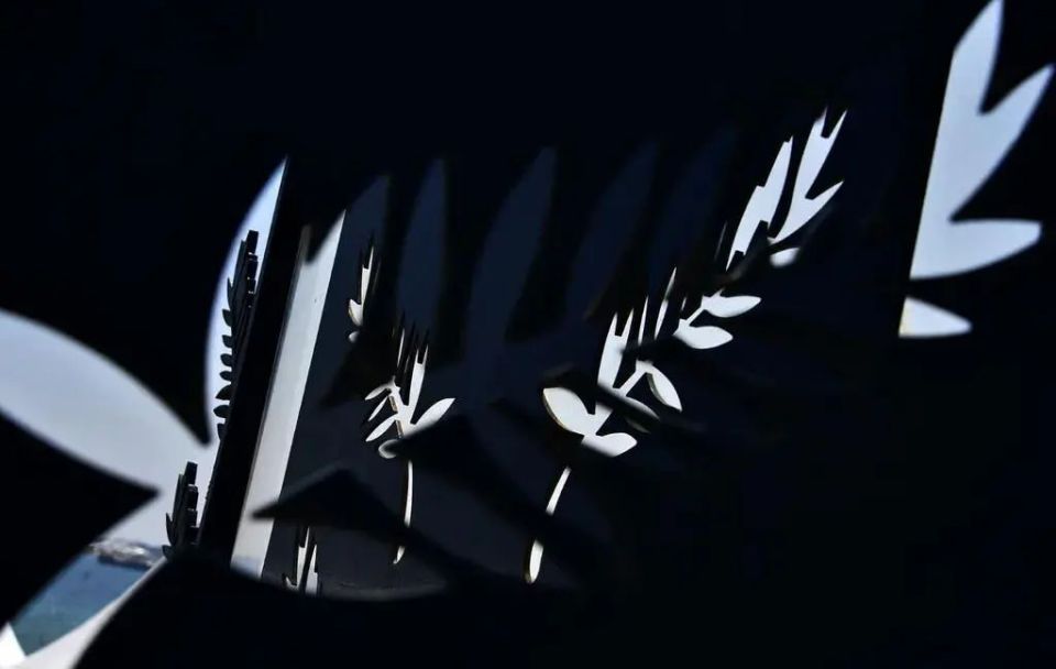 2024戛纳导演双周单元片单公布,一部华语片入围_腾讯新闻