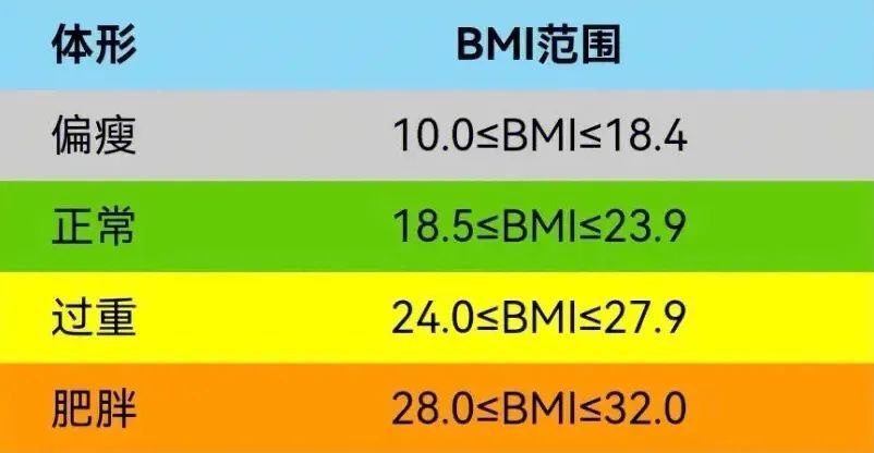 BMI体重指数标准