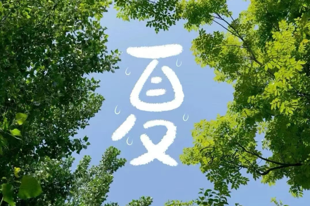 拒绝心理"中暑",一起清凉一"夏"!『心灵加油站』(198)