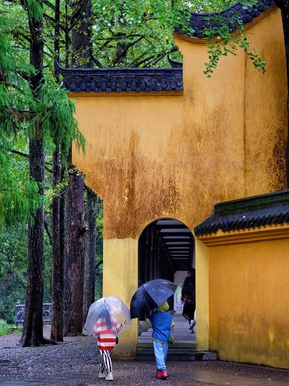 一下雨,浙江就成了诗里的江南!这六个别有意境的目的地,雨天照样嗨玩!