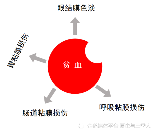 贫血同样会对呼吸粘膜系统产生损害.