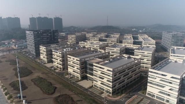 聚焦光谷南武汉江夏千亿级大健康产业园正崛起