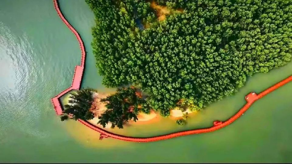 打卡湛江这一处新网红式旅游地